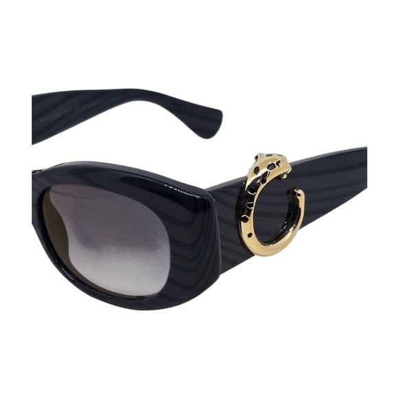 CARTIER.....Elegant CARTIER DARK STRIPED  Sunglasses with Gold Accents main image 6